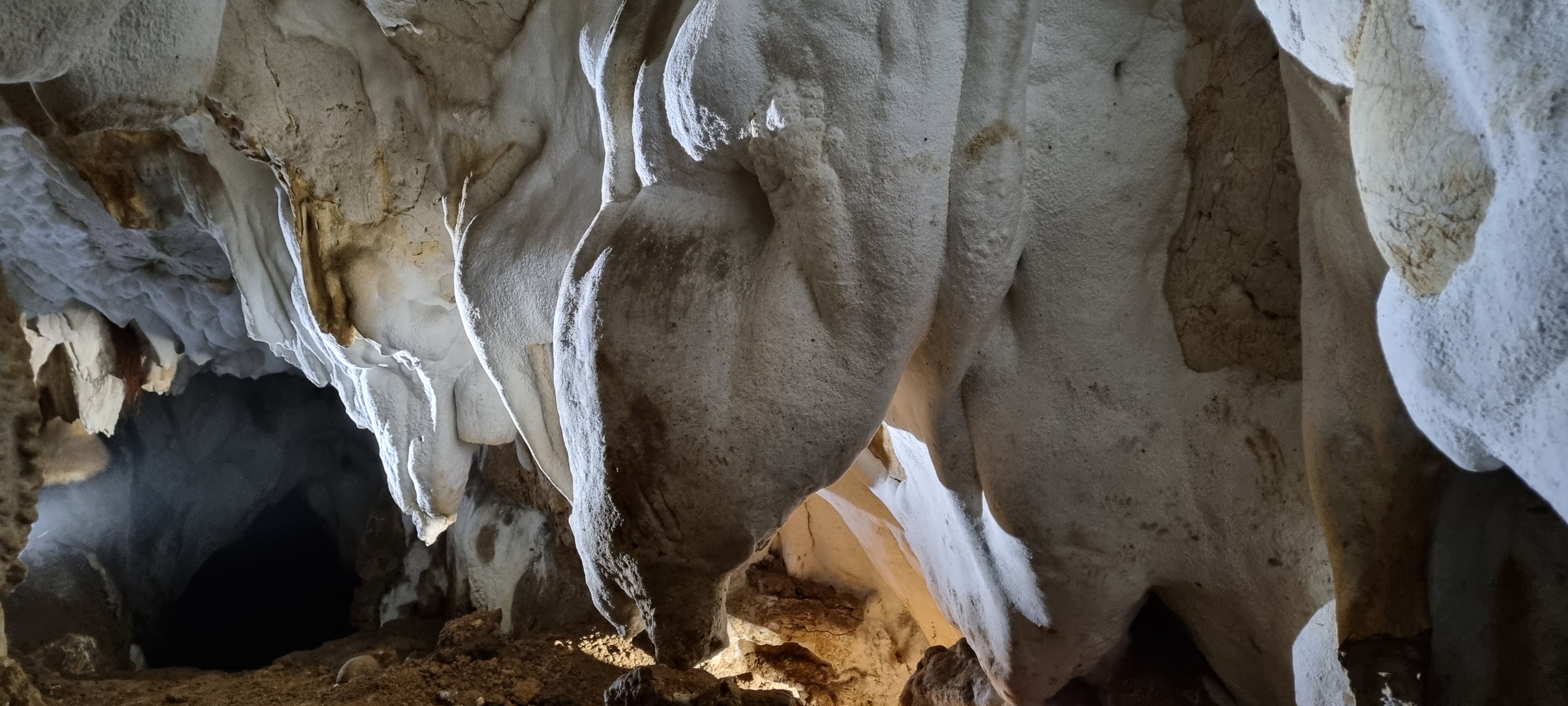 Pestera cu Oase din Valea Starnic - Image 3